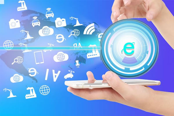 The Significance Of Japanese Native Ip And Its Role In The Network